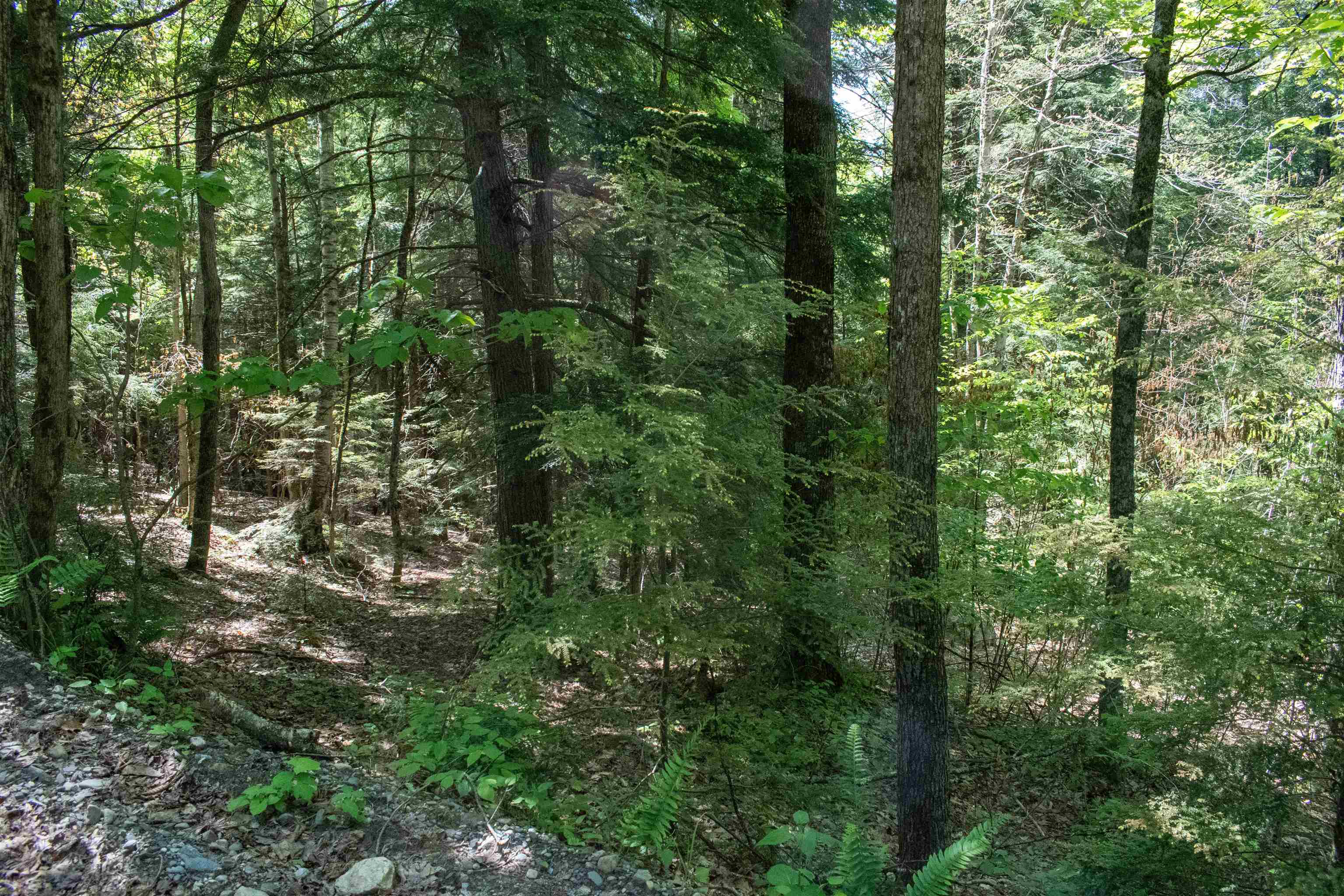 101 Neal Mine Road Charlestown, NH 03603 - Photo 23 of 24
