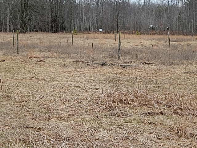 7080 South Young Road Falmouth, MI 49632 - Photo 13 of 13 1813622-12.JPG