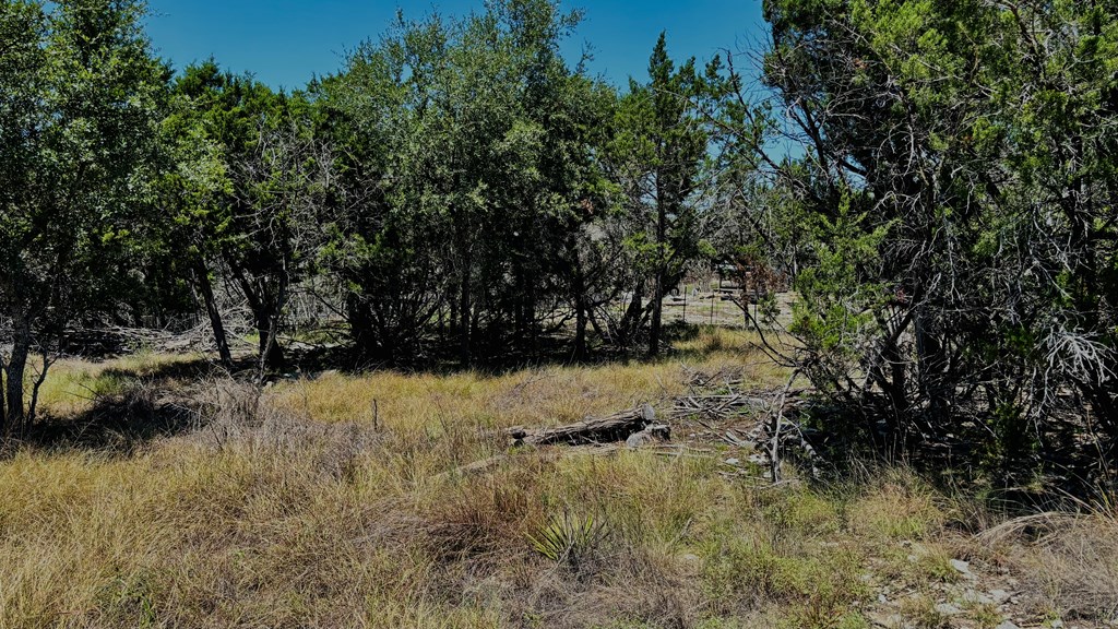 145 Mai Road Kerrville, TX 78028 - Photo 6 of 16 Gallery Image 6