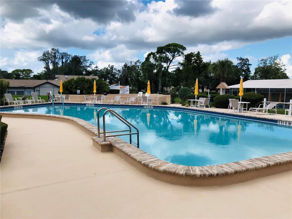 7280 Scotland Circle Weeki Wachee, FL 34613 - Photo 36 of 42 a view of a swimming pool with a chair