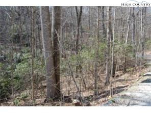 463 Locust Road Newland, NC 28657 - Photo 1 of 3