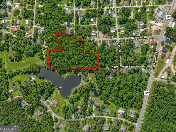 $53,000 | 5-acres Grace Street, Hawkinsville, GA 31036