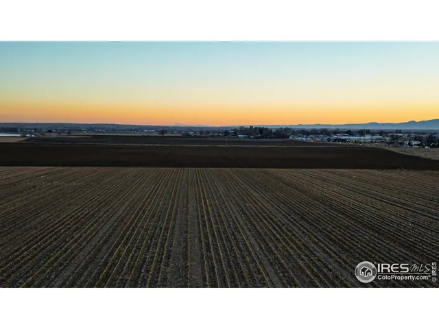 a black and white photo of a lake