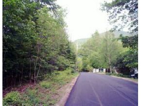 1 Mad Tom Road Dorset, VT 05253 - Photo 1 of 1 Gallery Image 1