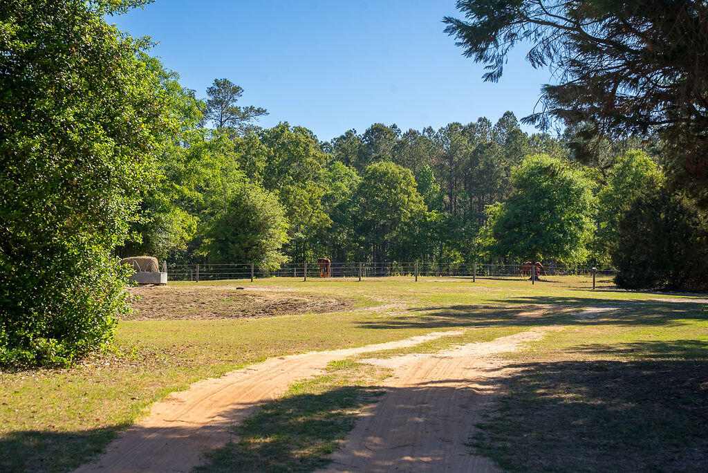 177 Muddy Branch Road Aiken, SC 29805 - Photo 6 of 34