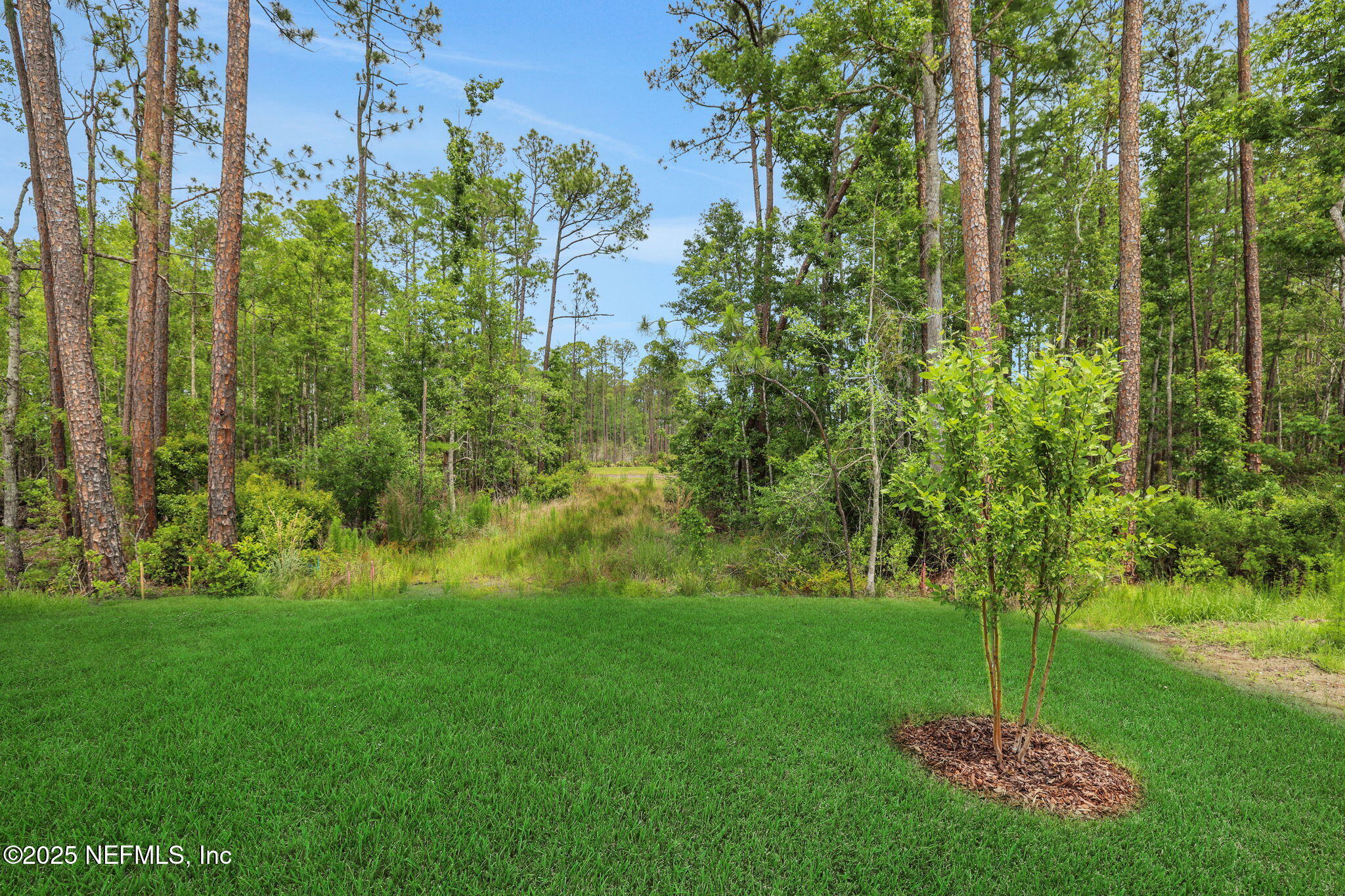 191 Bluegrass Way St. Augustine, FL 32092 - Photo 7 of 62 7-web-or-mls-2Z2A4004 (2)