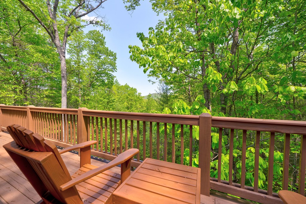 228 Indian Ridge Road Epworth, GA 30541 - Photo 42 of 44