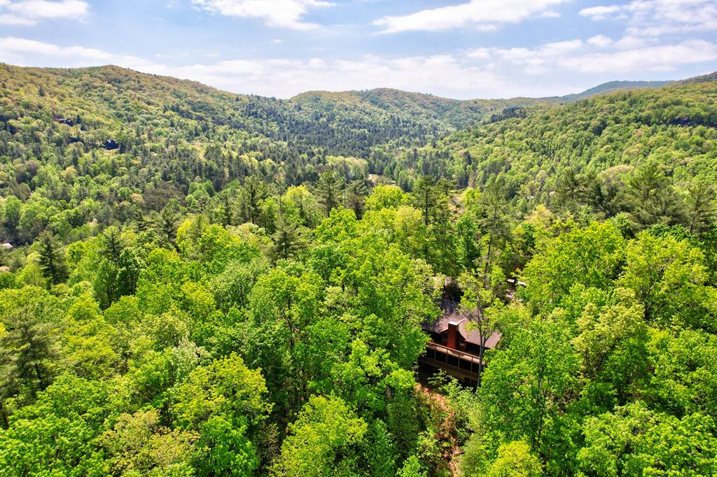 228 Indian Ridge Road Epworth, GA 30541 - Photo 6 of 44