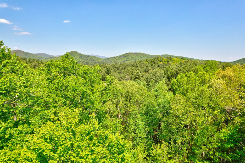 228 Indian Ridge Road Epworth, GA 30541 - Photo 7 of 44