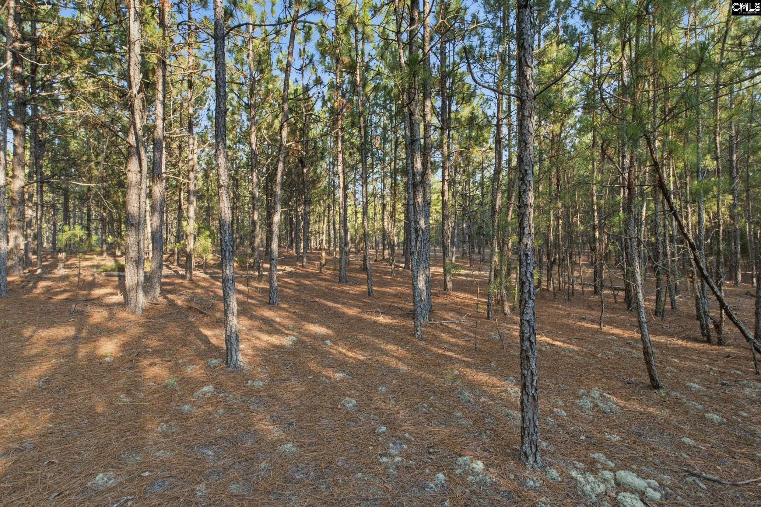 3390 State Rd S-28-496 Kershaw, SC 29067 - Photo 25 of 26