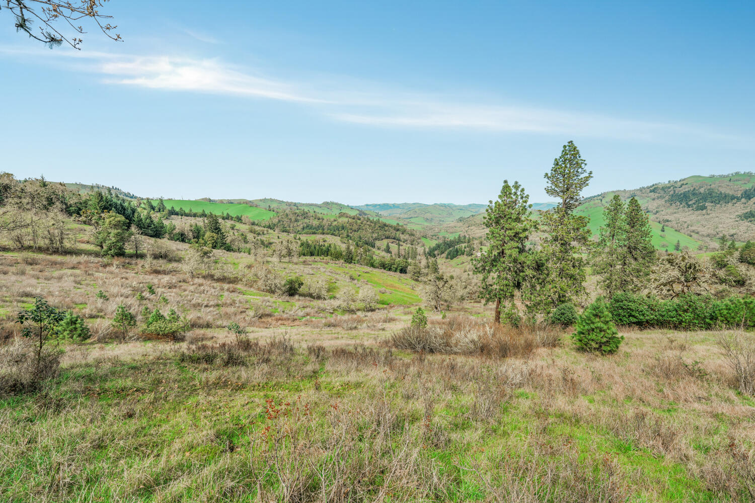 2268 Sunshine Road Roseburg, OR 97470 - Photo 11 of 34 DSC05245