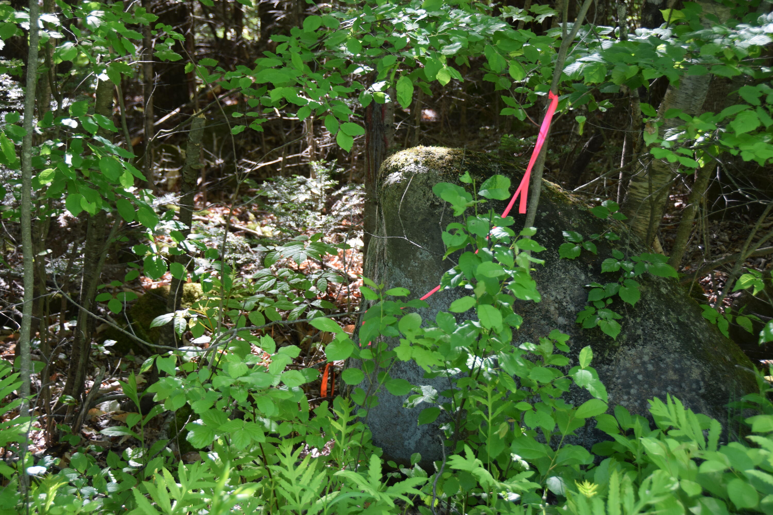 M10-l6-1 Hancock Pond Road New Portland, ME 04961 - Photo 6 of 30 DSC_0001