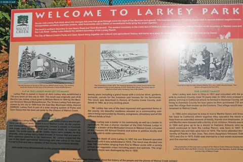 a view of street with a yard and trees