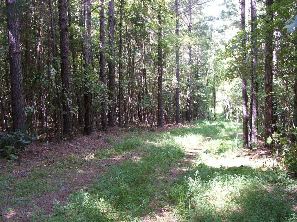 754 Firetower Road Lunenburg, VA 23952 - Photo 12 of 15 Gallery Image 12