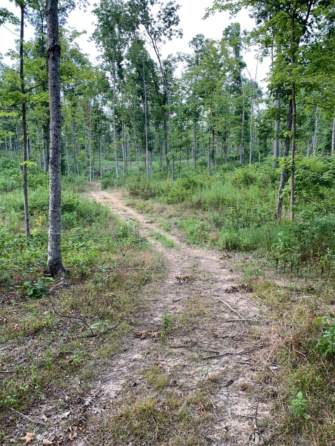 0 Hall Road Flemingsburg, KY 41041 - Photo 9 of 33 Photo 9
