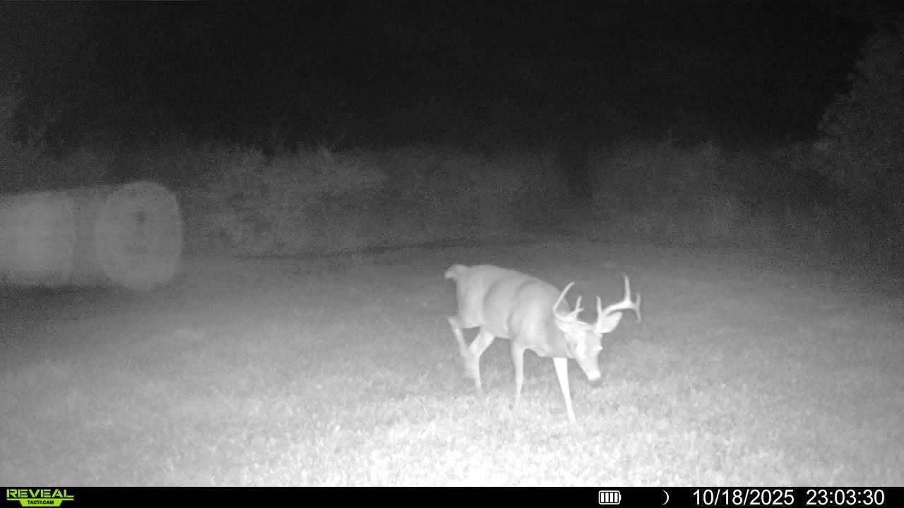 2067 11 Mile Road Remus, MI 49340 - Photo 50 of 62 image000001