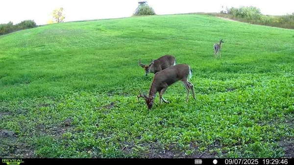 $250,000 | 2067 11 Mile Road, Remus, MI 49340