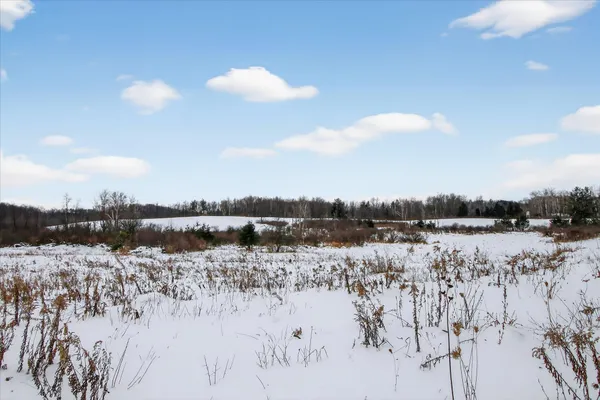 $250,000 | 2067 11 Mile Road, Remus, MI 49340