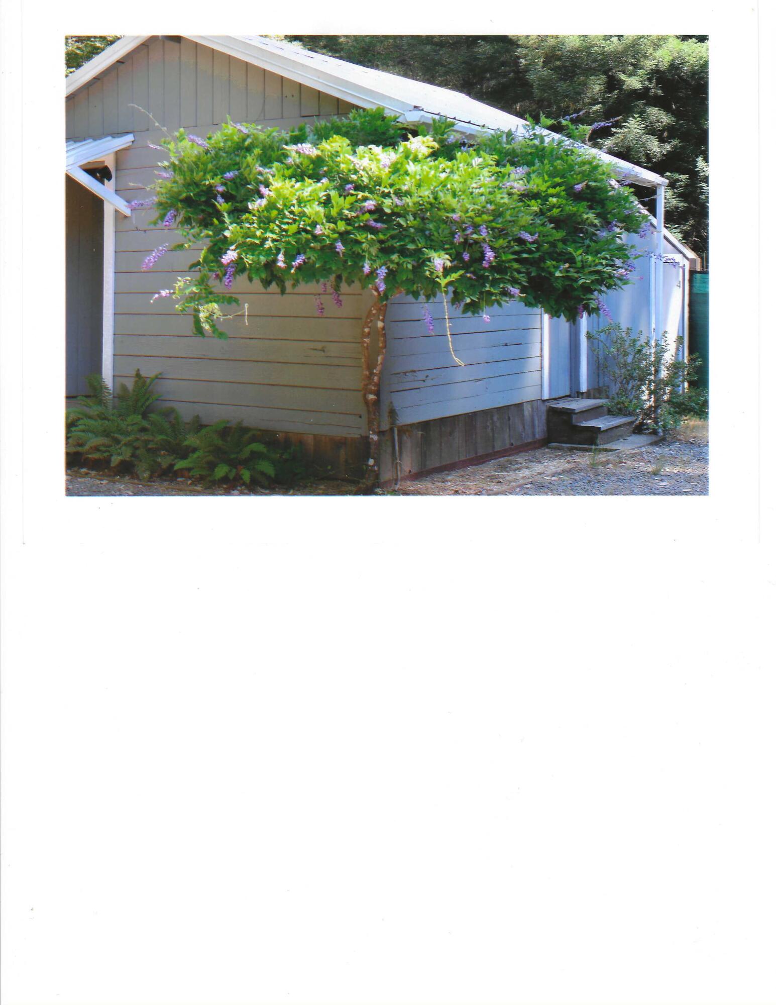 195 Rd A Whitethorn, CA 95589 - Photo 14 of 47 Garden Shed