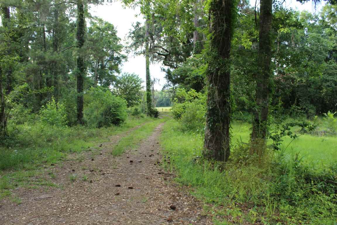 159 Big Joe Road Monticello, FL 32344 - Photo 3 of 24 Gallery Image 3