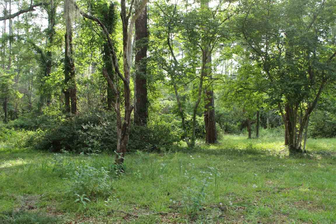 159 Big Joe Road Monticello, FL 32344 - Photo 8 of 24 Gallery Image 8