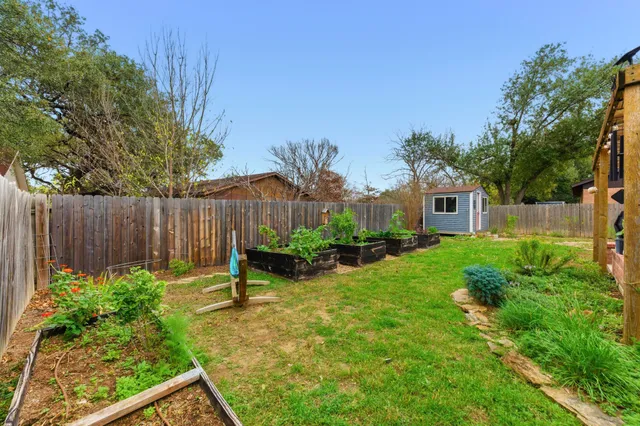 a garden with plants and large trees