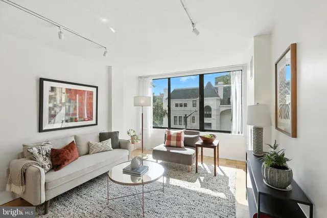 a living room with furniture potted plant and a large window