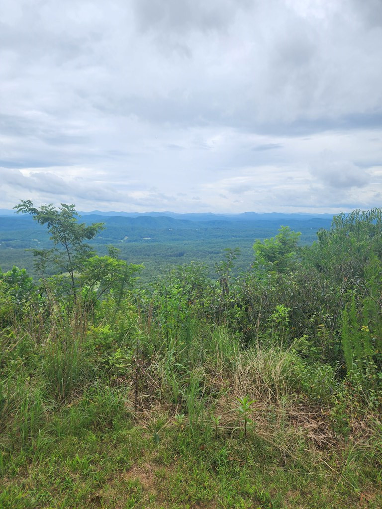 0 Vance Mountain Road Murphy, NC 28906 - Photo 7 of 15 Potential View