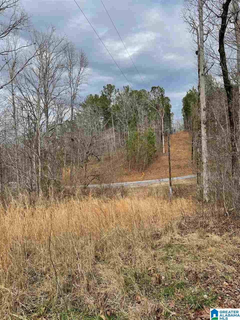 391 Amanda Lane Shelby, AL 35143 - Photo 7 of 9