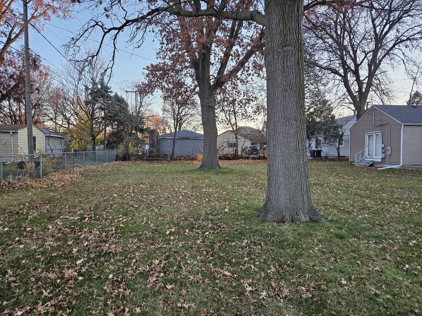 239 South McLean Boulevard Elgin, IL 60123 - Photo 28 of 30 a view of a yard with a tree