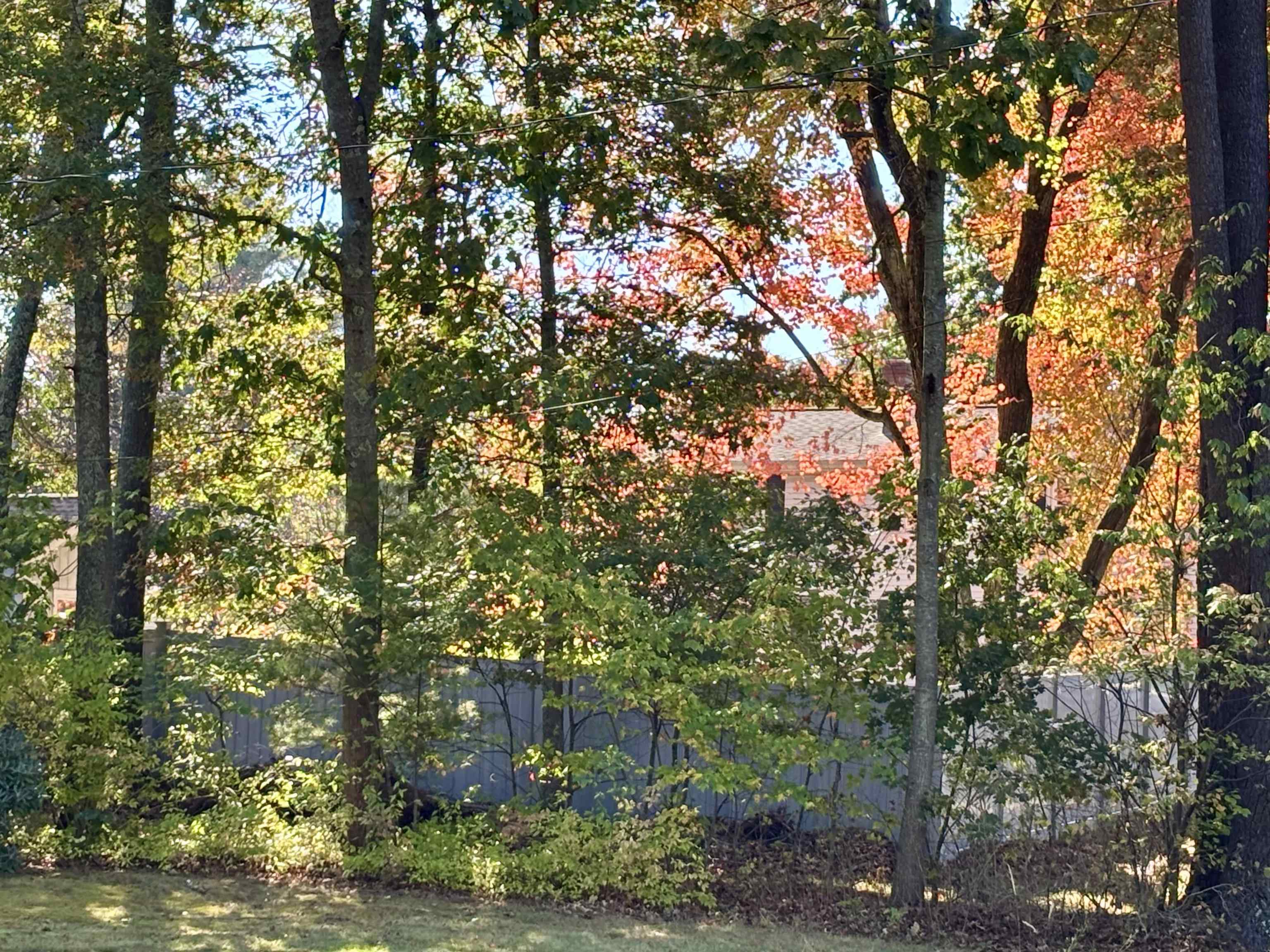 10 Townsend Avenue Salem, NH 03079 - Photo 19 of 41