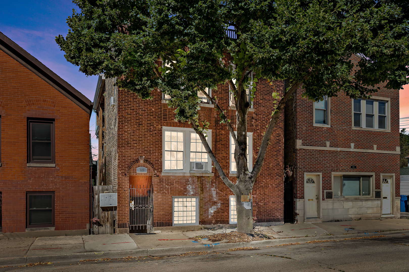 a tree in front of a brick building
