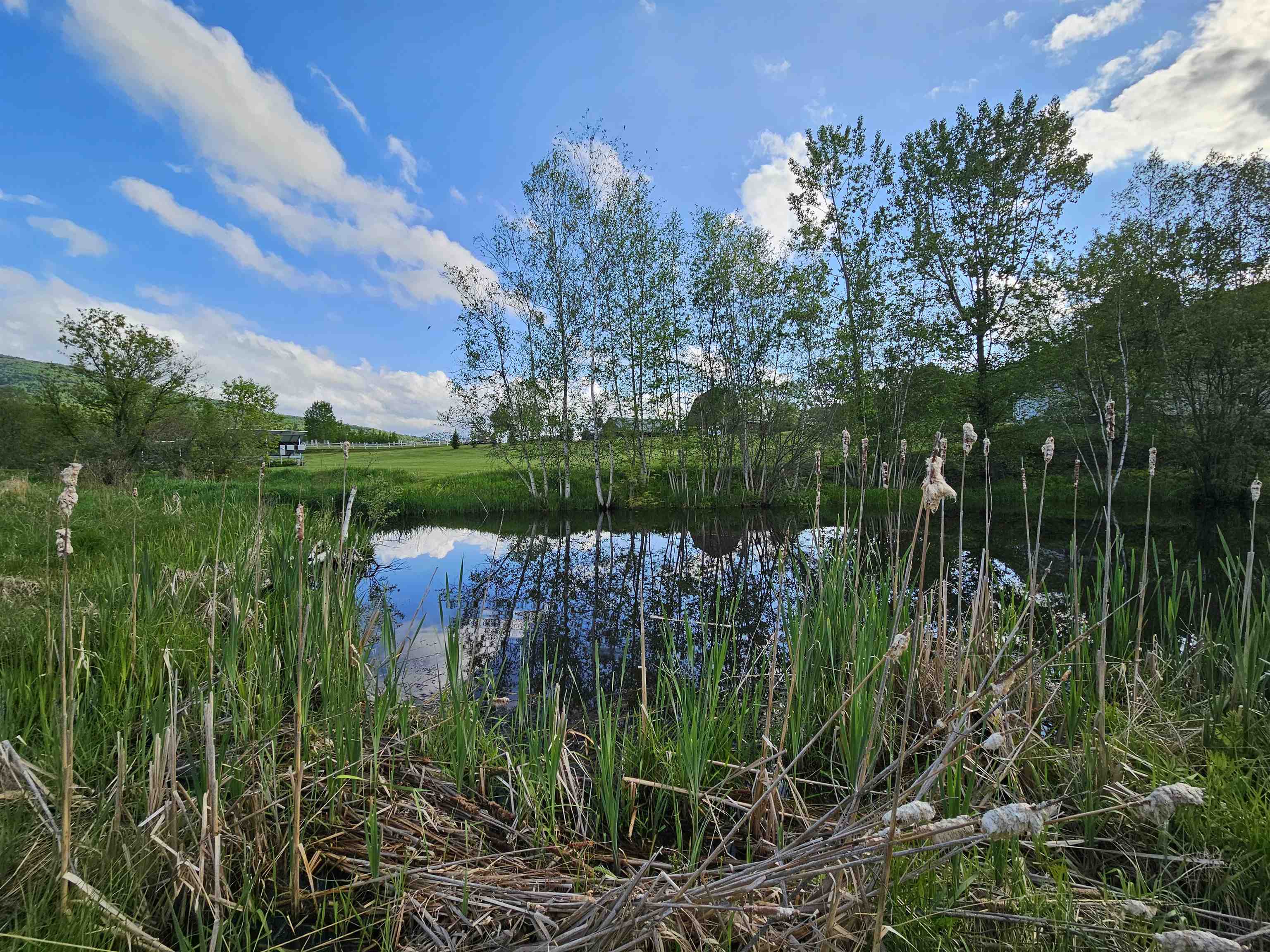 Tbd Lot #3 Tbd Road, Unit 3 Waterville, VT 05492 - Photo 6 of 10