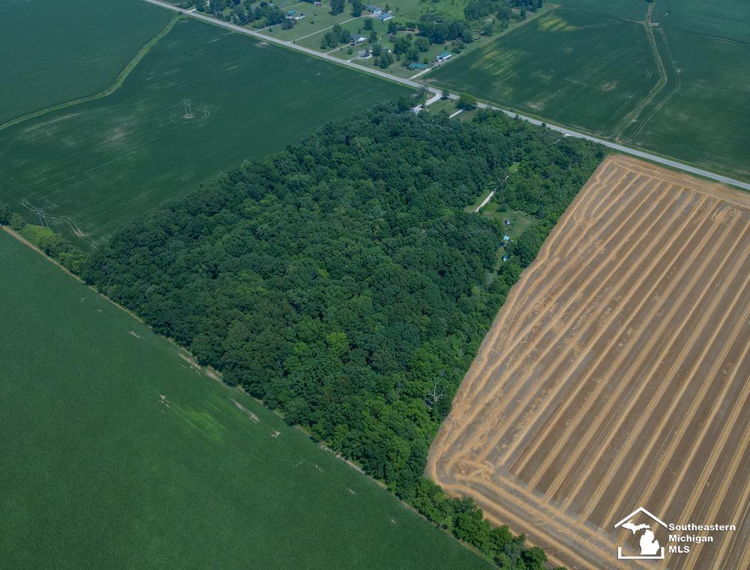 621 Baldwin Road Monroe, MI 48162 - Photo 45 of 57