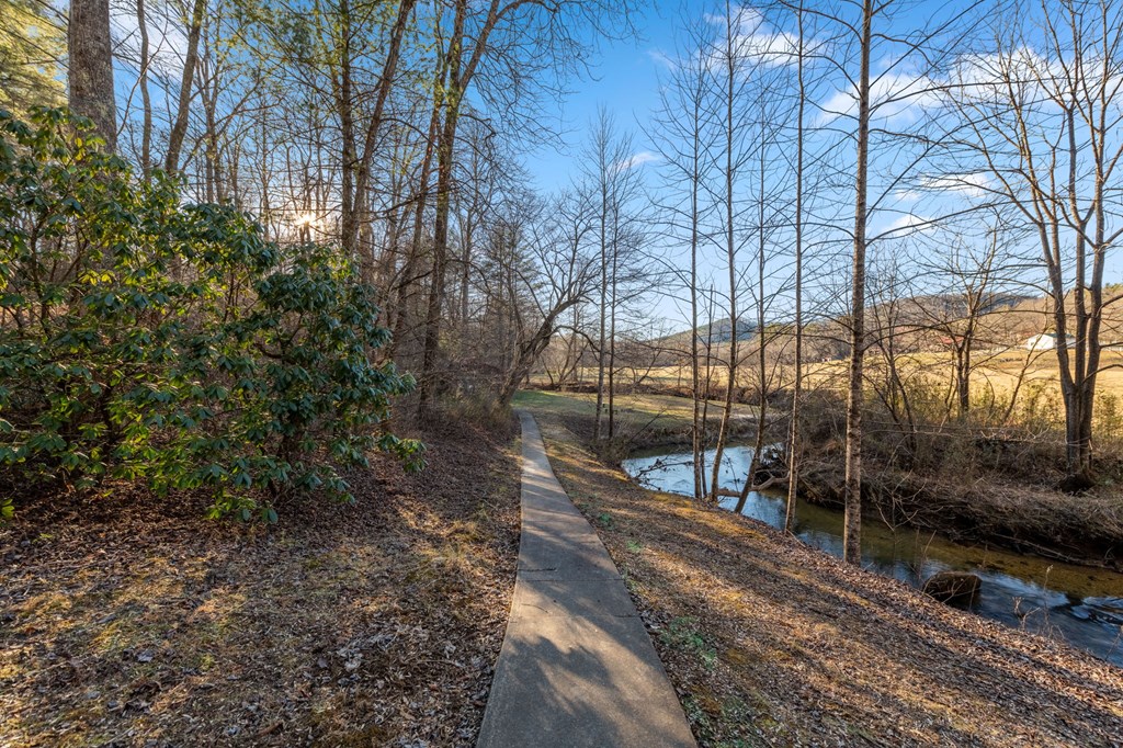 251 Sunny Brook Road Blue Ridge, GA 30513 - Photo 66 of 68 Community Area