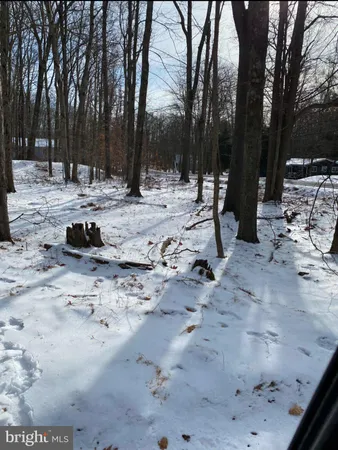 a view of snow on the side of a road