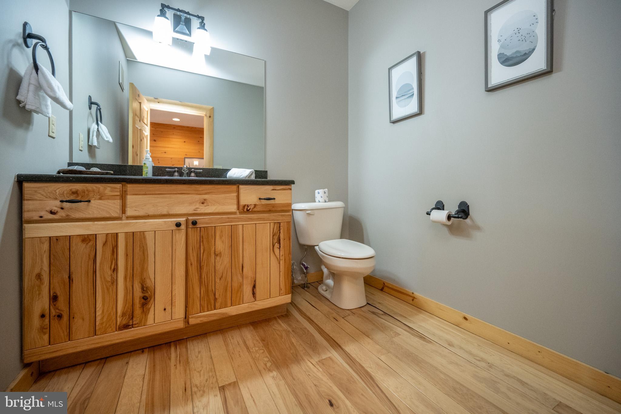246 Mountaintop Road McHenry, MD 21541 - Photo 25 of 74 Gallery Image 25