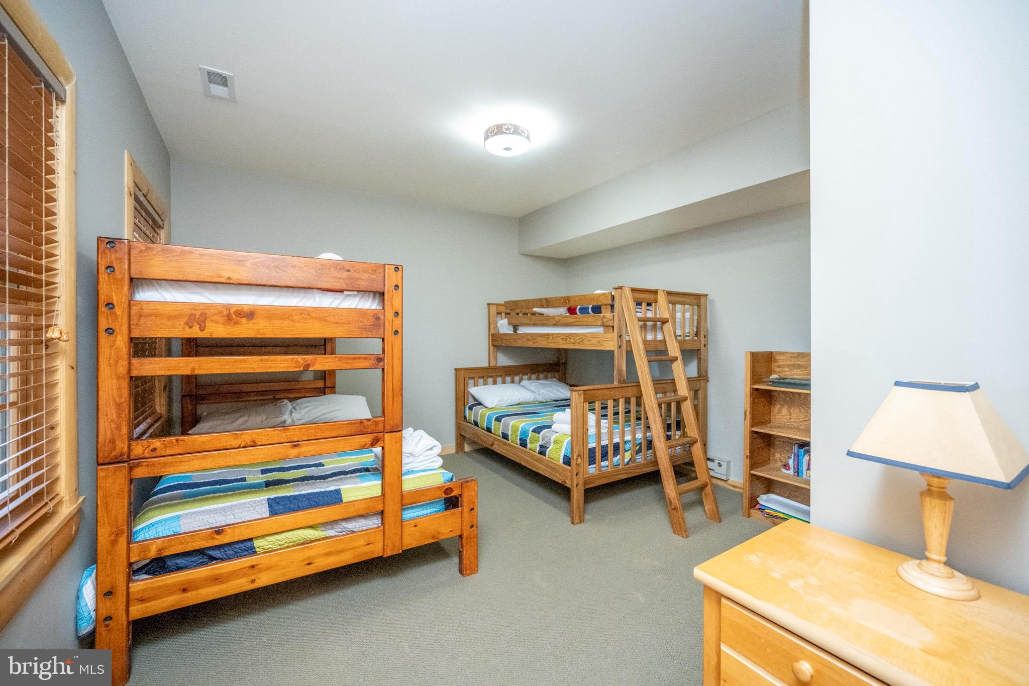 246 Mountaintop Road McHenry, MD 21541 - Photo 64 of 74 Gallery Image 64