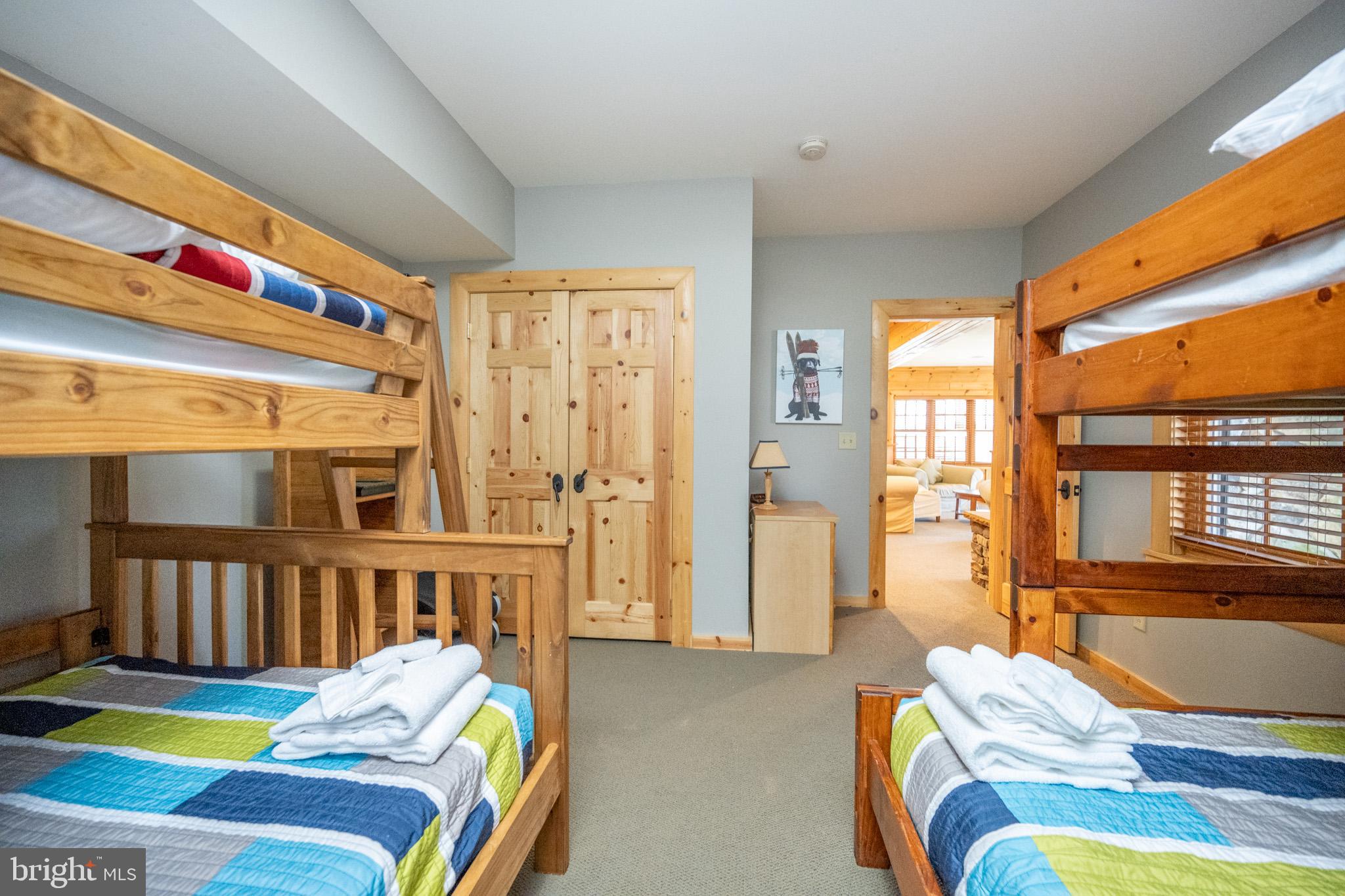 246 Mountaintop Road McHenry, MD 21541 - Photo 67 of 74 Gallery Image 67