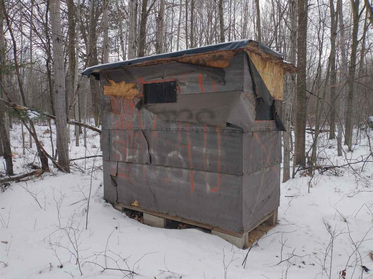 40-acres Sugar River Road Gladwin, MI 48624 - Photo 21 of 33