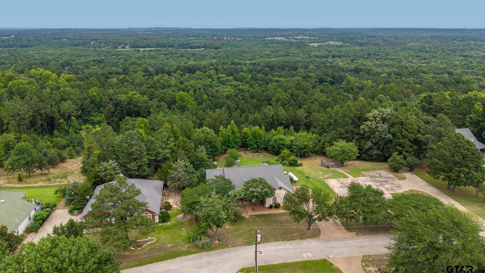 16123 Steep Road Brownsboro, TX 75756 - Photo 6 of 44