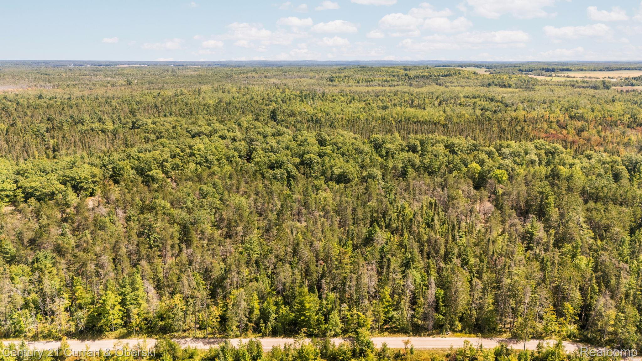 3265 Roost Road Onaway, MI 49765 - Photo 50 of 52 82-web-or-mls-DJI_20250829130522_0080_D_DJIJEL.jpg