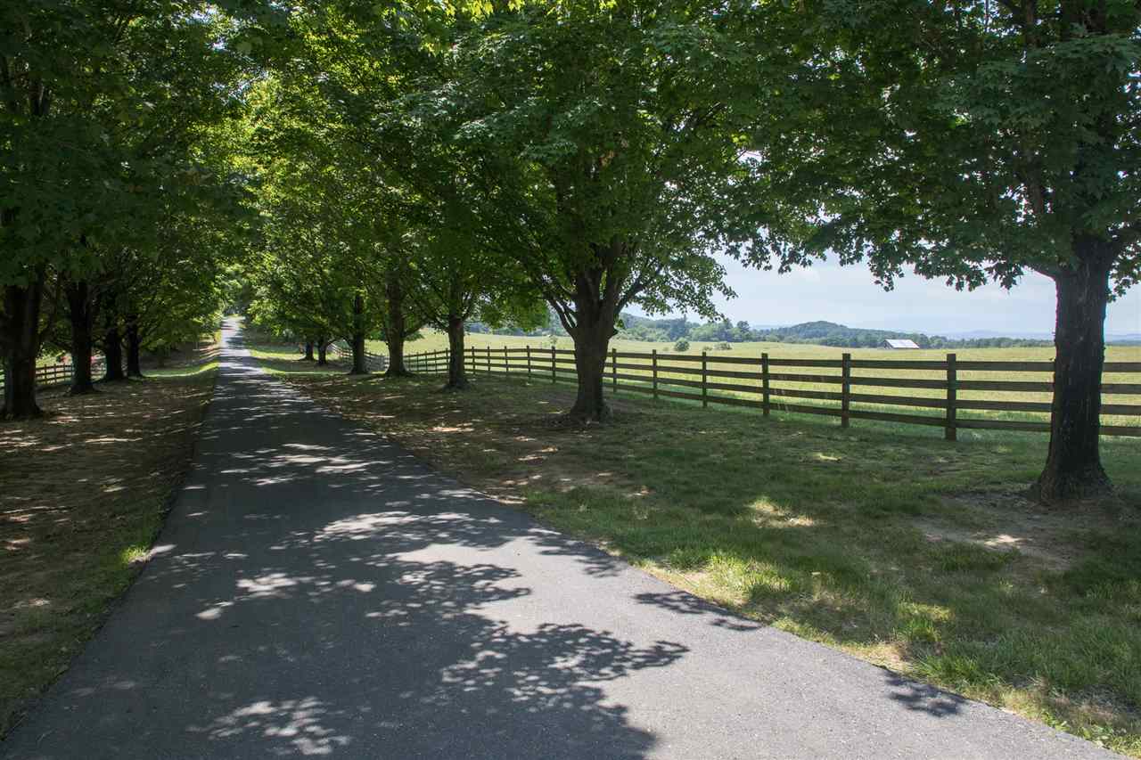 395 Kindig Road Waynesboro, VA 22980 - Photo 42 of 45 a view of a yard with tree s