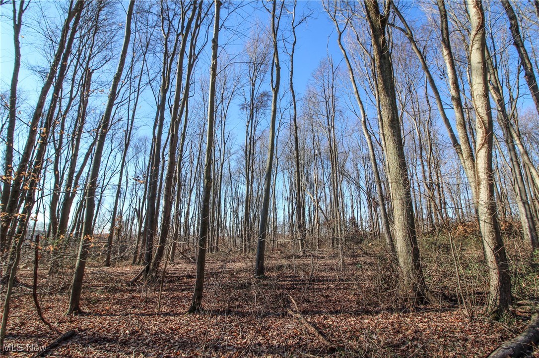 0 Pleasant Chapel Road Southeast Newark, OH 43056 - Photo 12 of 23 View of undeveloped land