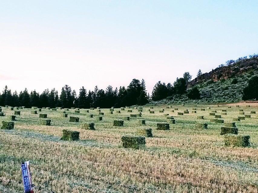 20893 Sprague River Road Chiloquin, OR 97624 - Photo 55 of 75 20893 53