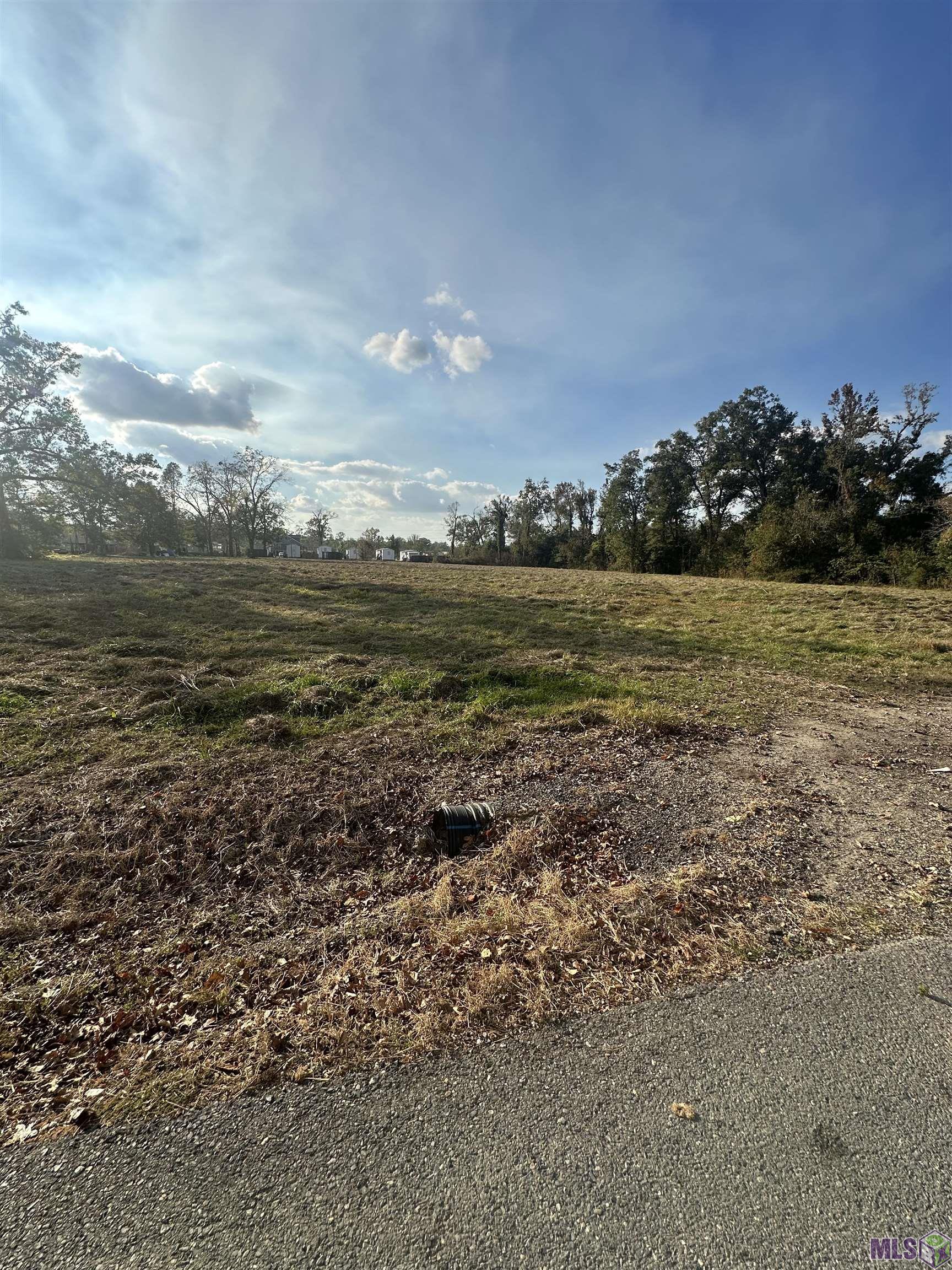 8407 Pertuis Road St. Amant, LA 70774 - Photo 3 of 4