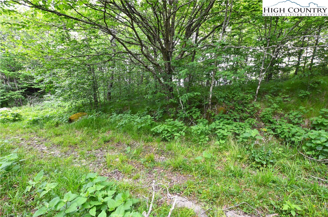 Xx North Pinnacle Ridge Road Beech Mountain, NC 28604 - Photo 1 of 11 Gallery Image 1
