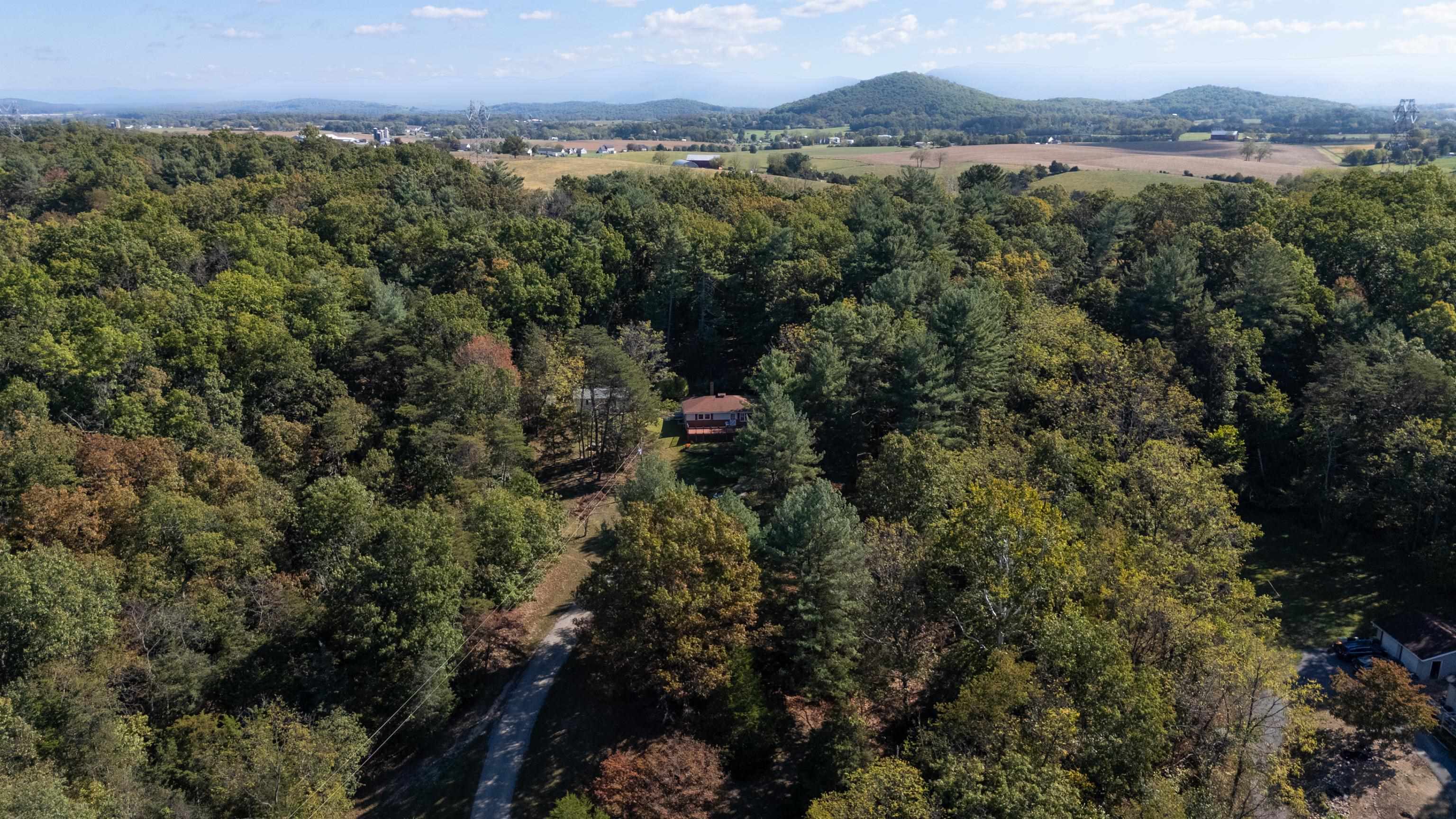 2106 Laurel Hill Road Staunton, VA 24401 - Photo 39 of 46 an aerial view of residential house with outdoor space and trees all around