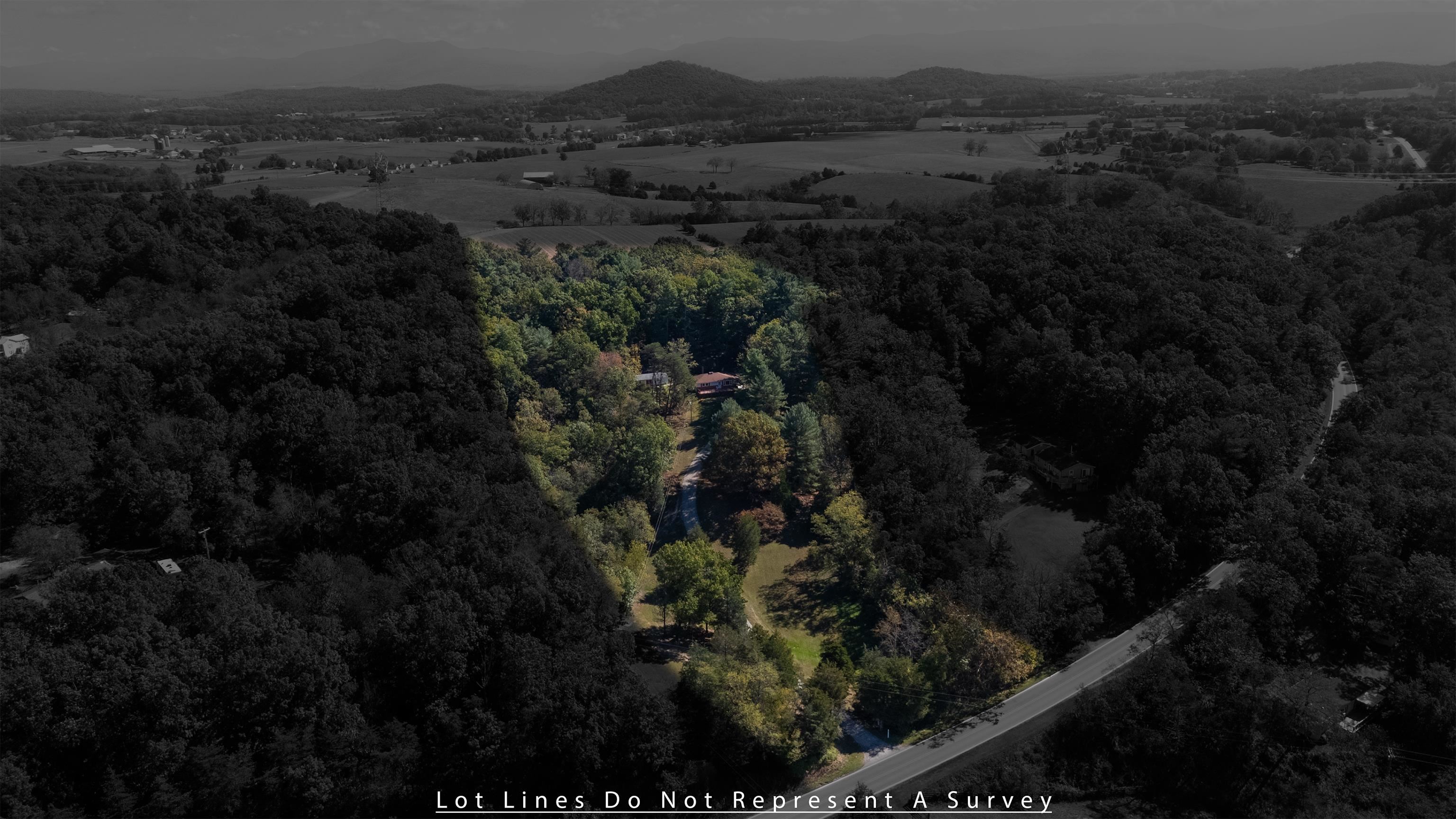 2106 Laurel Hill Road Staunton, VA 24401 - Photo 42 of 46 a view of a lot of trees