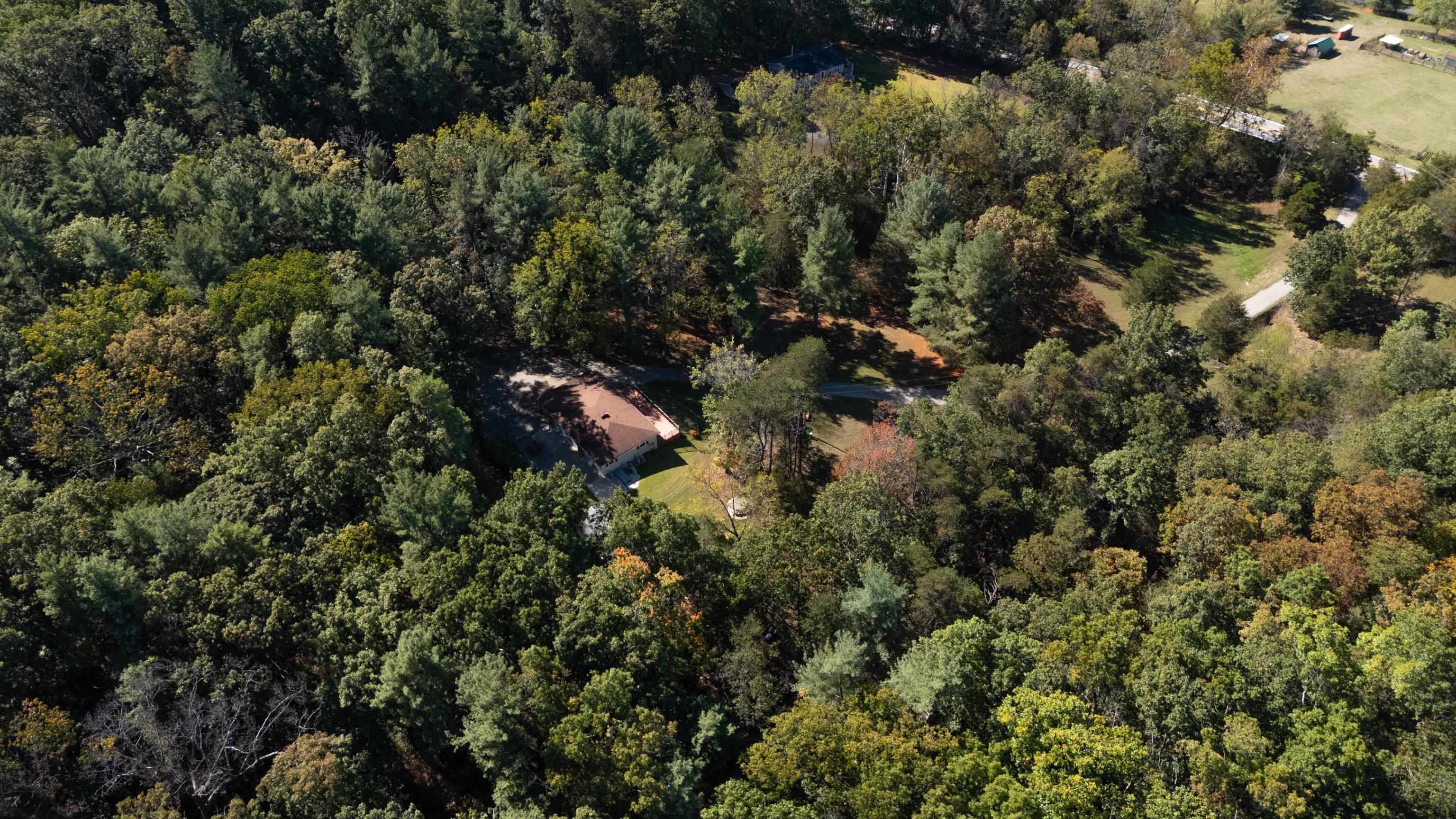2106 Laurel Hill Road Staunton, VA 24401 - Photo 44 of 46 a view of a house in a forest